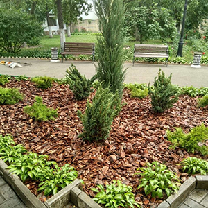 Хвойная мульча в Ульяновске купить - оперативная доставка по всей России